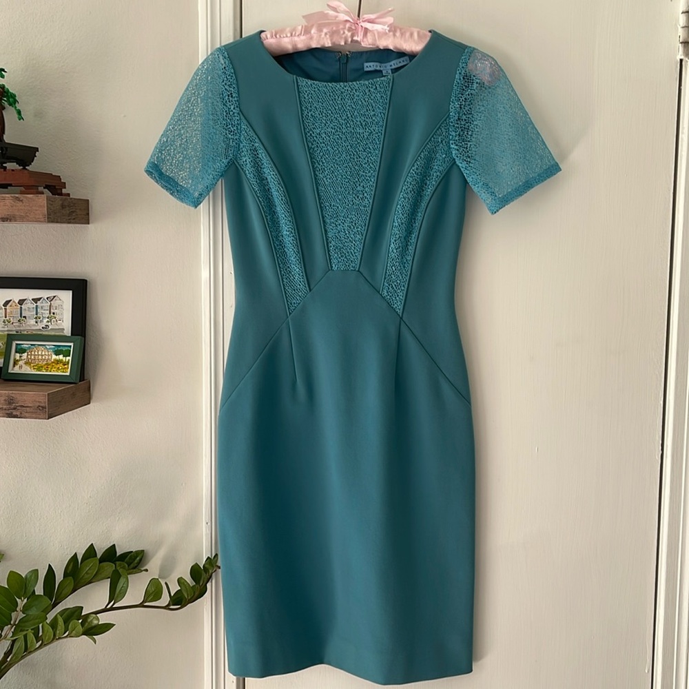 Antonio Melani short sleeve lace dress blue